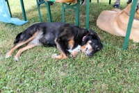 sommerfest-2019-75