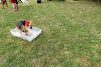 sommerfest-2019-80