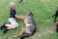 sommerfest-2019-86