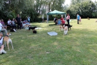 sommerfest-2019-94