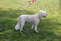 sommerfest-2019-95