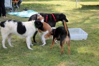 sommerfest-2019-96