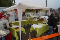 Tierschutztatg 2015 1