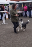 Tierschutztatg 2015 21