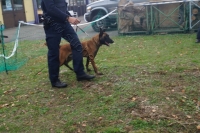 Tierschutztatg 2015 42