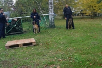 Tierschutztatg 2015 46