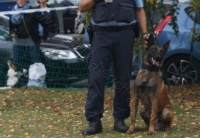 Tierschutztatg 2015 48