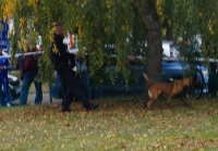 Tierschutztatg 2015 51