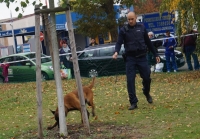 Tierschutztatg 2015 52