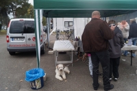 Tierschutztatg 2015 69