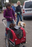 Tierschutztatg 2015 70