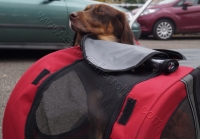 Tierschutztatg 2015 71