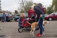 Tierschutztatg 2015 72