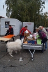 Tierschutztatg 2015 91