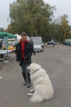 tierschutztag KA 2015 (10)