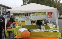 tierschutztag KA 2015