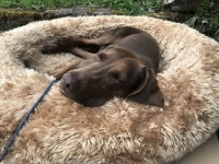 Toula (1)
