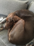 Toula (2)