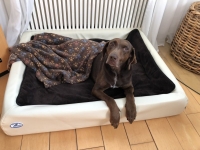 Toula (6)