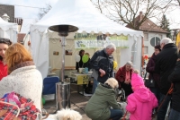 2015-Tag-der-o-Tuer-Rheinst-4