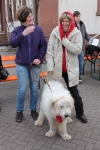 2015-Tag-der-o-Tuer-Rheinst-7