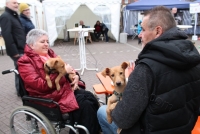 2015-Tag-der-o-Tuer-Rheinst