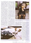 Zeitung-003