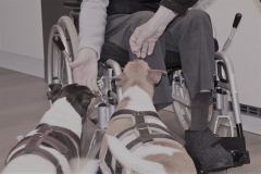 2023_Jan_Altenheim_Debbie_Conrad-58