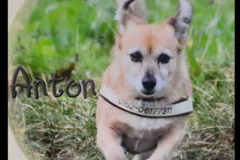 2021_Anton_Kokott_19Jahre-7