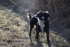 Blacky1