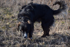 Blacky2