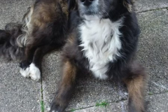 Blacky5
