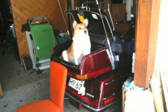 Bild2