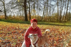 Bild9