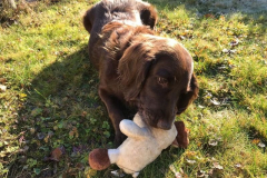 2021_Daisy_Glueckskind3