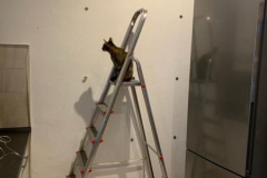 IMG-20210802-WA0006