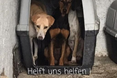 Durmersheim1