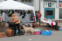 Durmersheim7