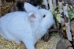 Frosti_Heidi1