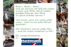 2-Danke-HerrnHartmann