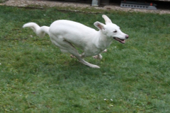 WhatsApp-Bild-2025-08-26-um-19.05.10_5d60353f