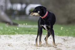 2024_Sitia_Ivy_Fotograf4