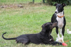 christi-loucy-lou-mit-freund