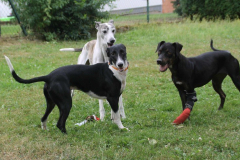 christi-loucy-lou3-mit-kumpels