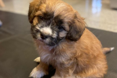 2026_Privatabg_Balser_Max