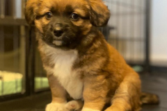 2026_Privatabg_Balser_Moritz