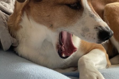 2026_Sitia_Maria_jetzt-Nana_Constanze3