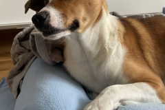 2026_Sitia_Maria_jetzt-Nana_Constanze4