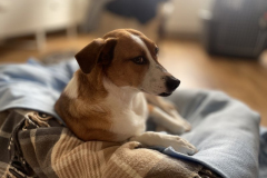 2026_Sitia_Maria_jetzt-Nana_Constanze6