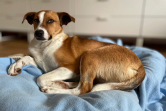 2026_Sitia_Maria_jetzt-Nana_Constanze7